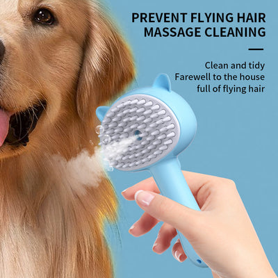 Hair Cleaning Brush With Mist Multifunctional Cat with Rechargeable Batteries