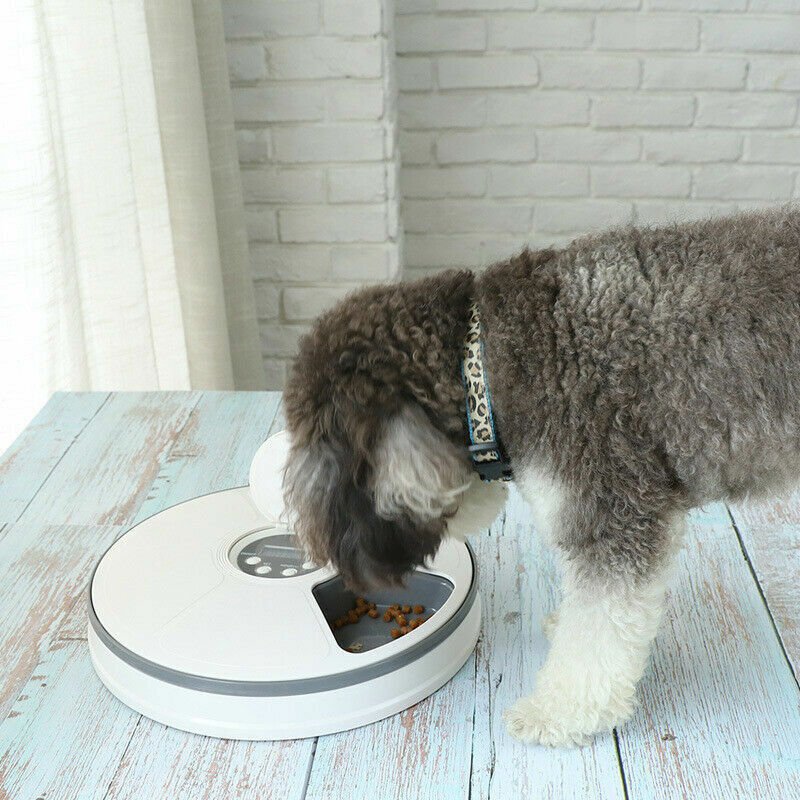 Automatic 6 Day Meal Timed Pet Dog Cat Feeder Food Bowl Auto Holiday Dispenser - Threads & Tassels
