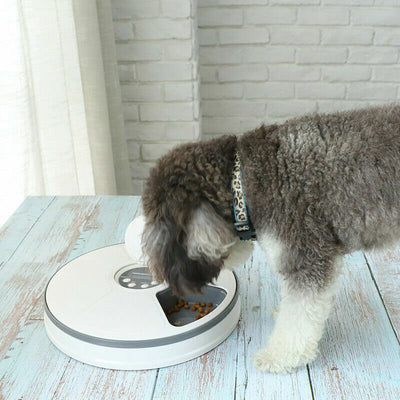 Automatic 6 Day Meal Timed Pet Dog Cat Feeder Food Bowl Auto Holiday Dispenser - Threads & Tassels