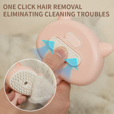Hair Cleaning Brush With Mist Multifunctional Cat with Rechargeable Batteries