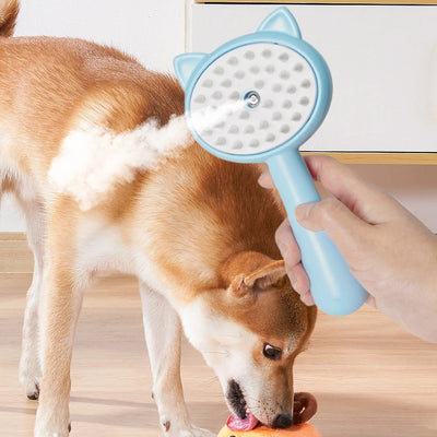 Hair Cleaning Brush With Mist Multifunctional Cat with Rechargeable Batteries