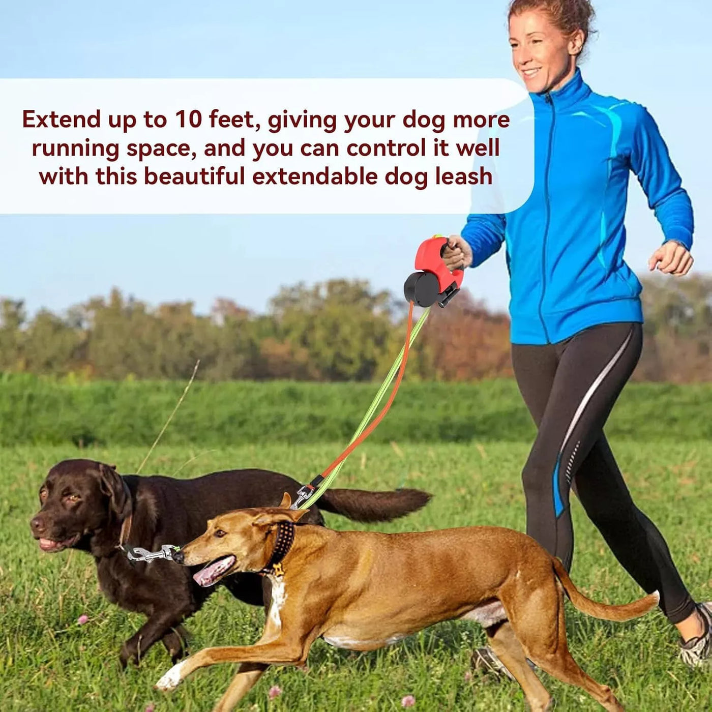 Retractable Pet Leash Two Pets